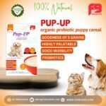 PUP-UP