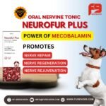 NEUROFUR PLUS
