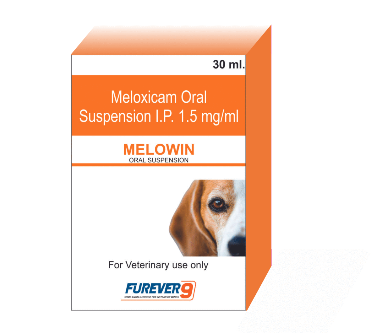 Pets Nutritional Supplement Exporter From Uttarakhand