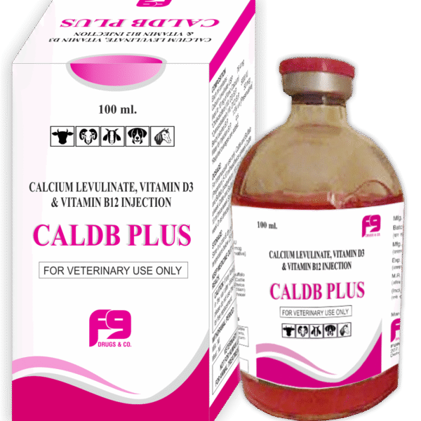 CALDB PLUS