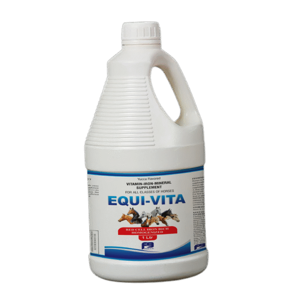 EQUI VITA