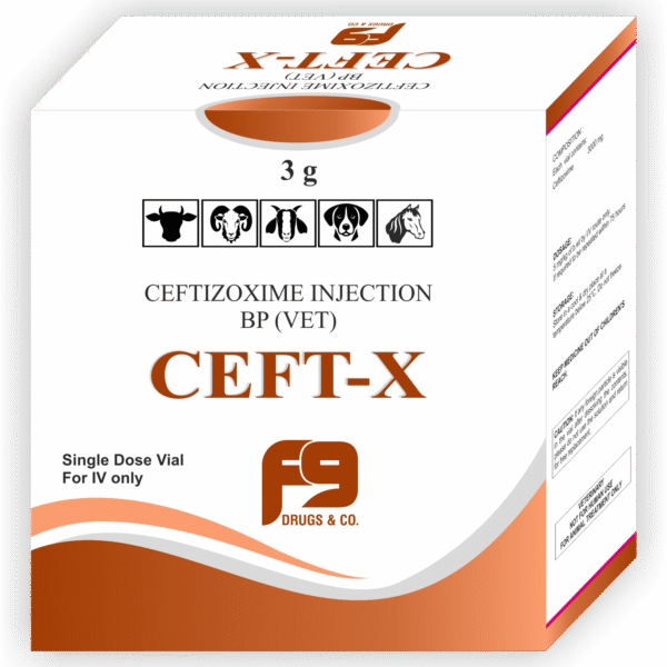 CEFT-X