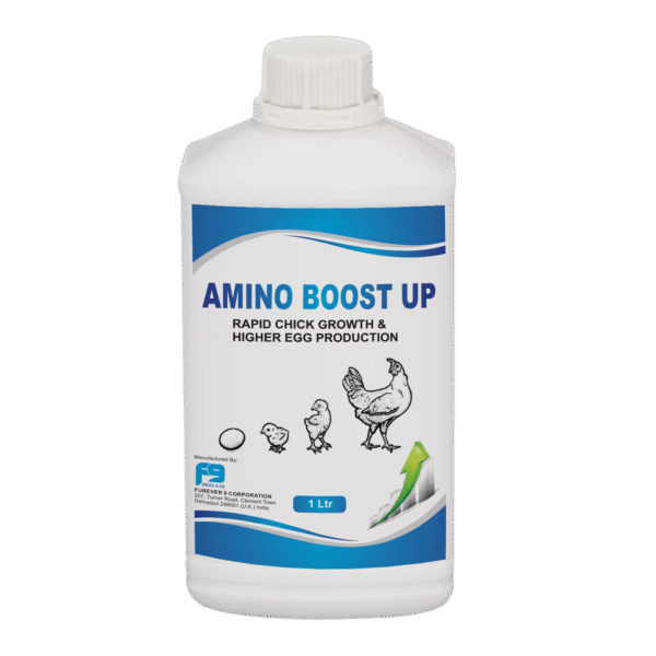 Amino boost up