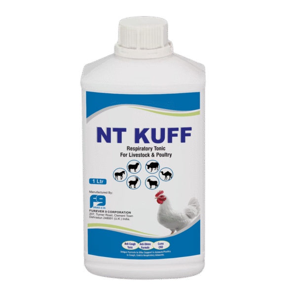 NT Kuff