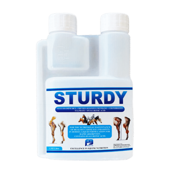 STURDY