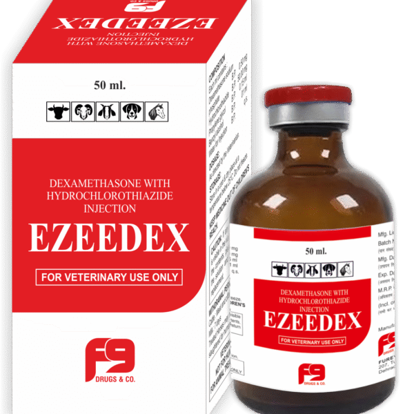 EZEEDEX