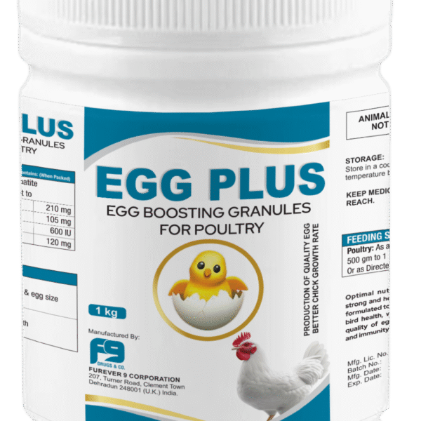 Egg plus