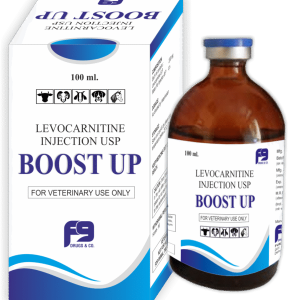 BOOST UP