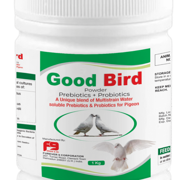 Good bird