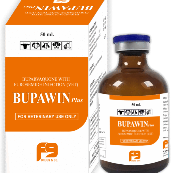 BUPAWIN PLUS