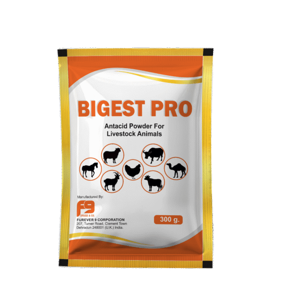 BIGEST PRO