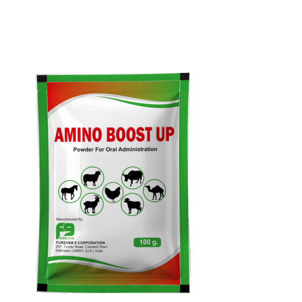 AMINO BOOST UP