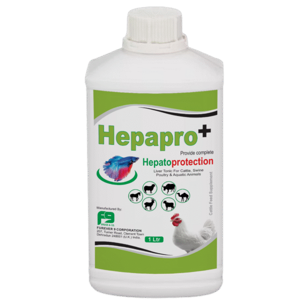 Hepapro Plus