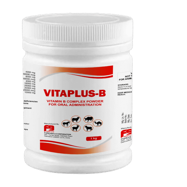 VITAPLUS- B