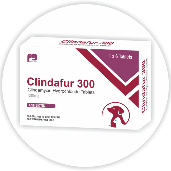 Clindafur 300