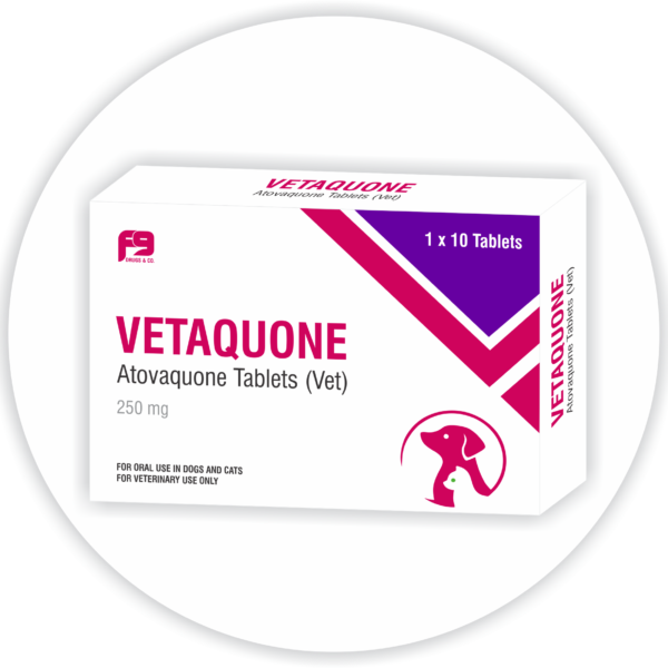 Vetaquone